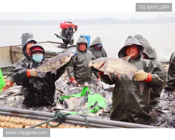 AG捕鱼会员注册流程简便快速，助你立即开启精彩捕鱼之旅